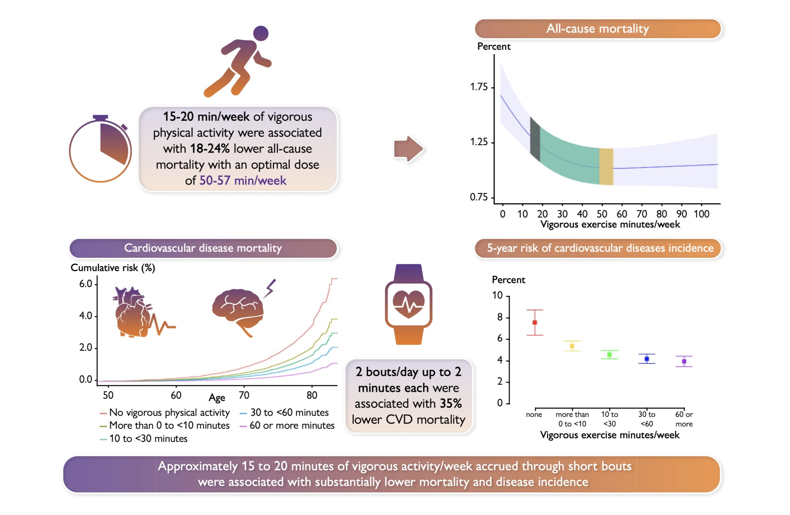 How Much Vigorous Physical Activity Is Enough? | BehaviorFit | Health ...